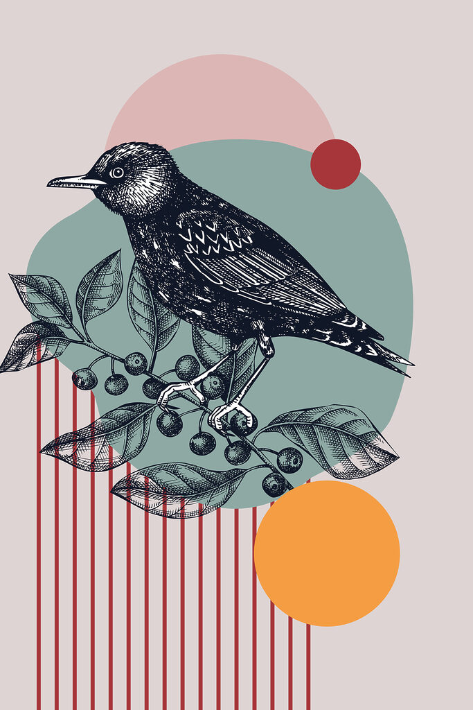 A bird on a branch