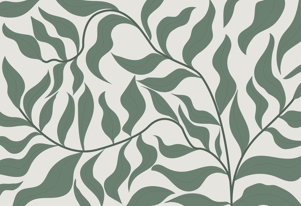 Een groen blad op een witte achtergrond Een groen blad op een witte achtergrond