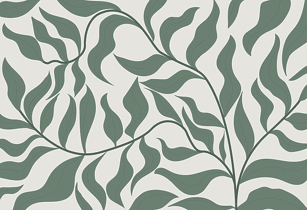 Een groen blad op een witte achtergrond Een groen blad op een witte achtergrond