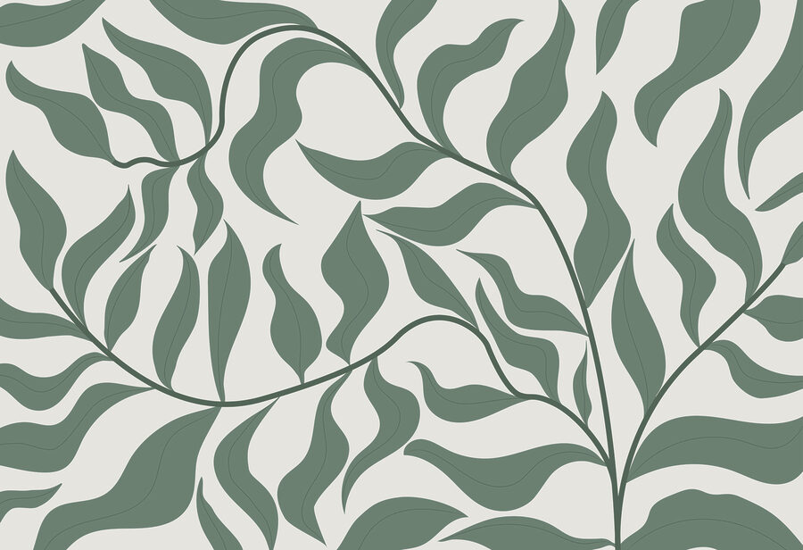 Een groen blad op een witte achtergrond