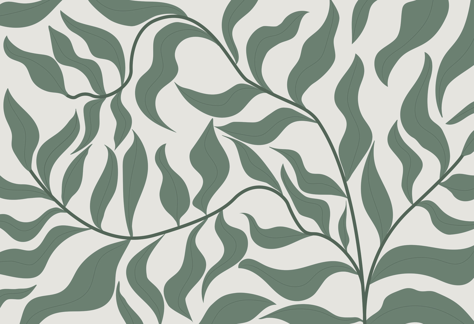 Een groen blad op een witte achtergrond w00629p - Een groen blad op een witte achtergrond - tegory