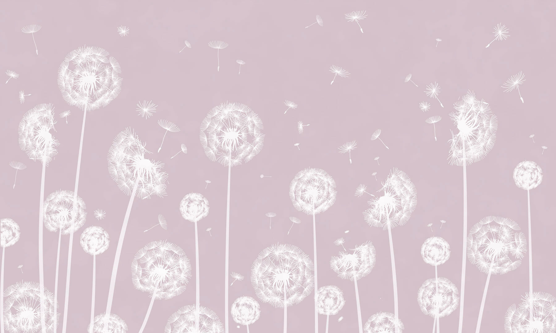 Een witte paardenbloem die door de lucht vliegt w00657v1p - Een witte paardenbloem die door de lucht vliegt - tegory