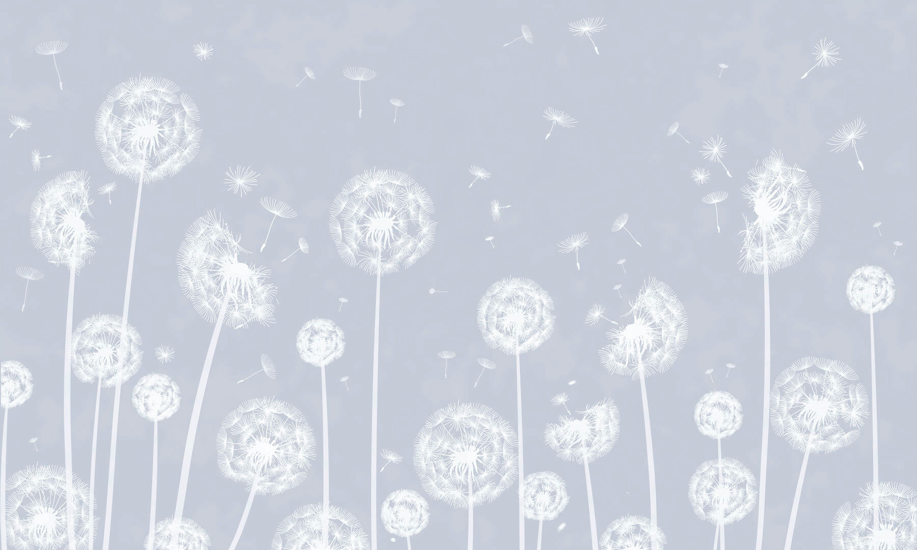 Een witte paardenbloem die door de lucht vliegt w00657v2p - Een witte paardenbloem die door de lucht vliegt - tegory