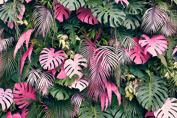 Groep roze en groene bladeren Groep roze en groene bladeren