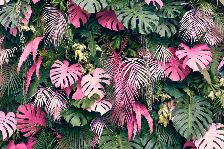 Groep roze en groene bladeren Groep roze en groene bladeren