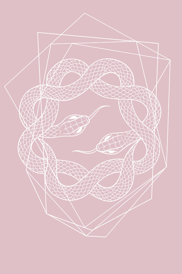 A white snake in a circle