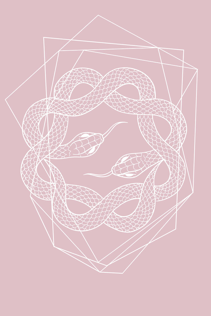 A white snake in a circle