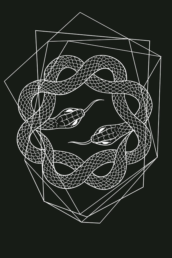 A white snake in a circle