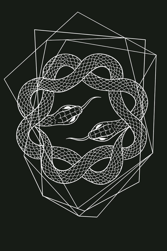 A white snake in a circle