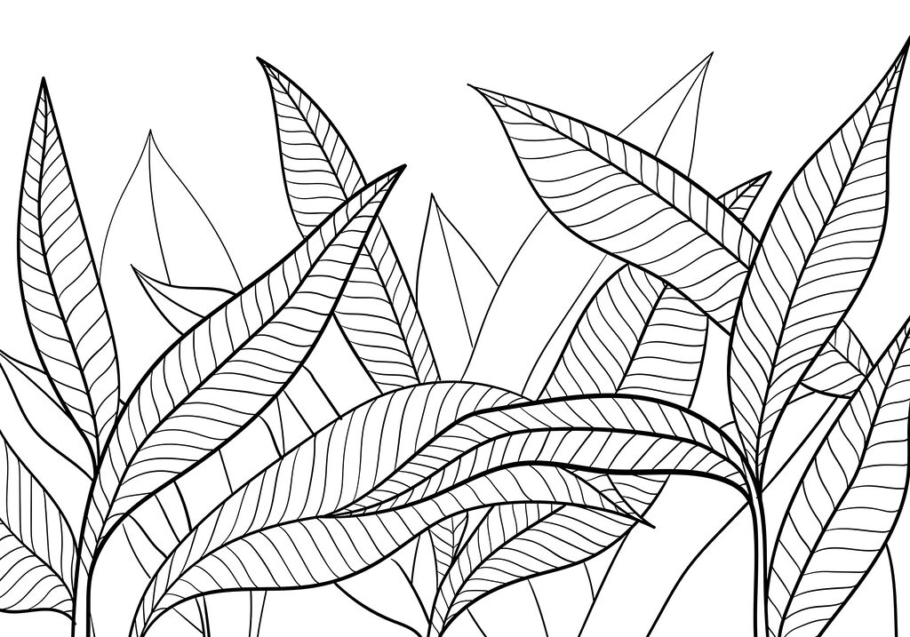 Een zwart-wit tekening van bladeren Een zwart-wit tekening van bladeren
