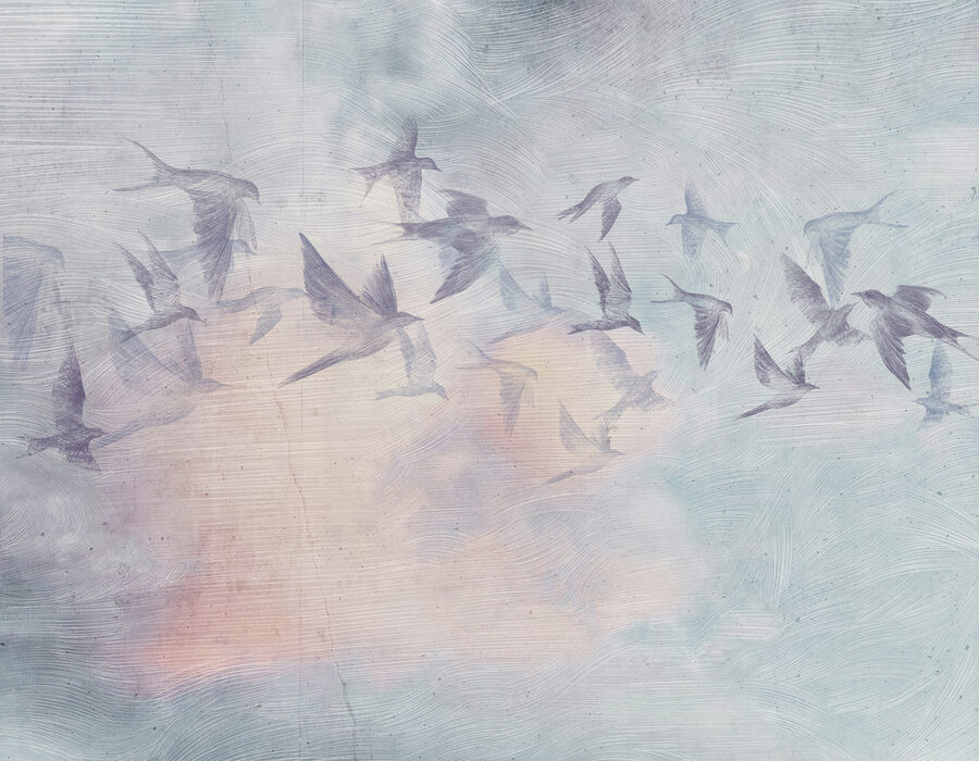 Een zwerm vogels vliegt in de lucht