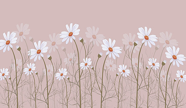 A group of white flowers A group of white flowers