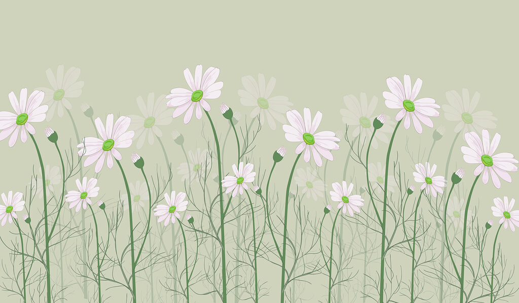 Een groep witte bloemen Een groep witte bloemen
