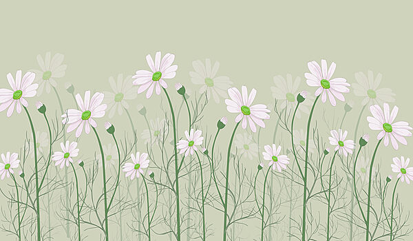 Een groep witte bloemen Een groep witte bloemen