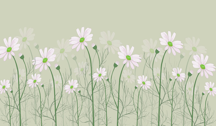 Een groep witte bloemen