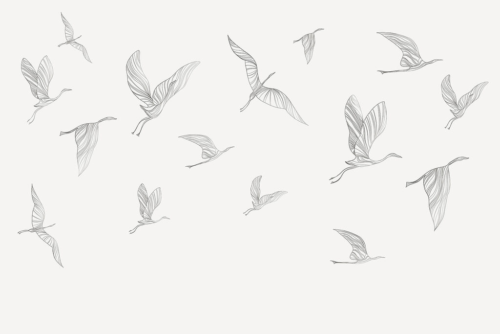 Een groep vliegende vogels Een groep vliegende vogels