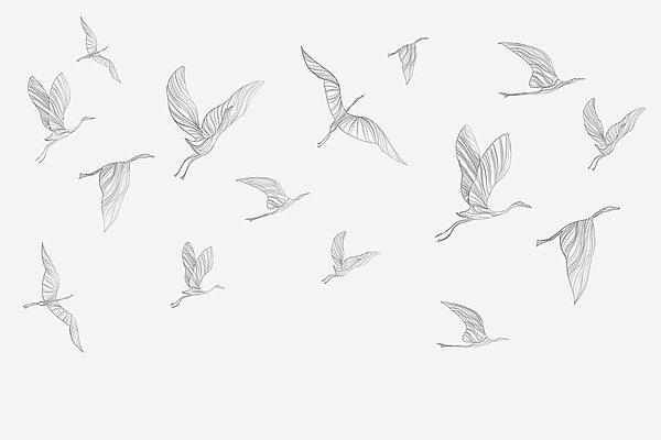Een groep vliegende vogels Een groep vliegende vogels