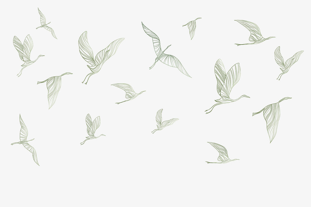 Een groep vliegende vogels Een groep vliegende vogels