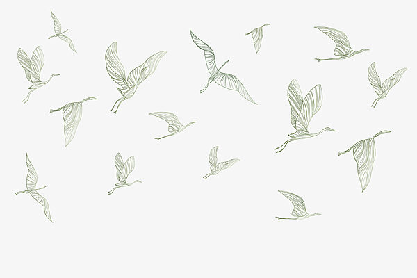 Een groep vliegende vogels Een groep vliegende vogels