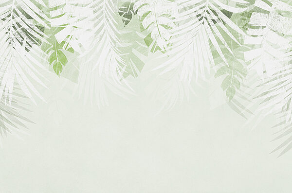 Een wit en groen blad Een wit en groen blad