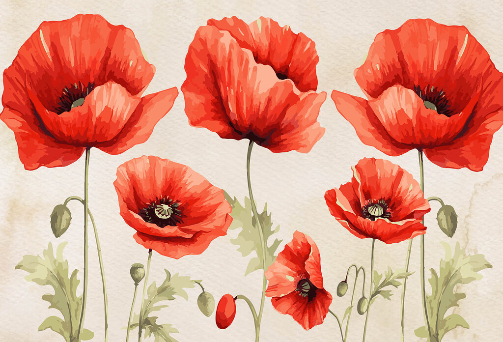 Een groep rode bloemen Een groep rode bloemen