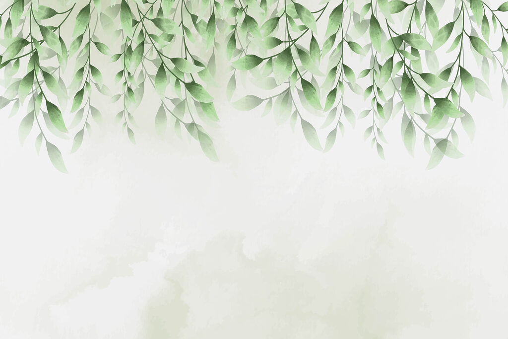 Een groen blad op een witte achtergrond Een groen blad op een witte achtergrond