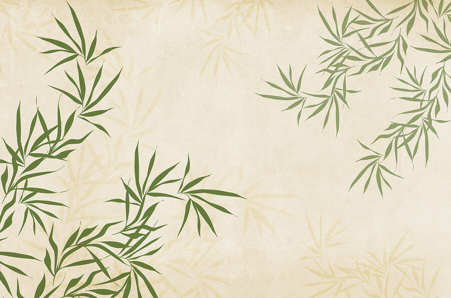 Een groen blad op een witte achtergrond