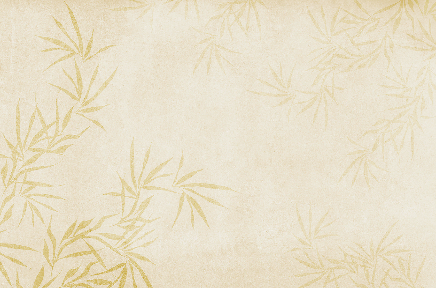 A white background with leaves