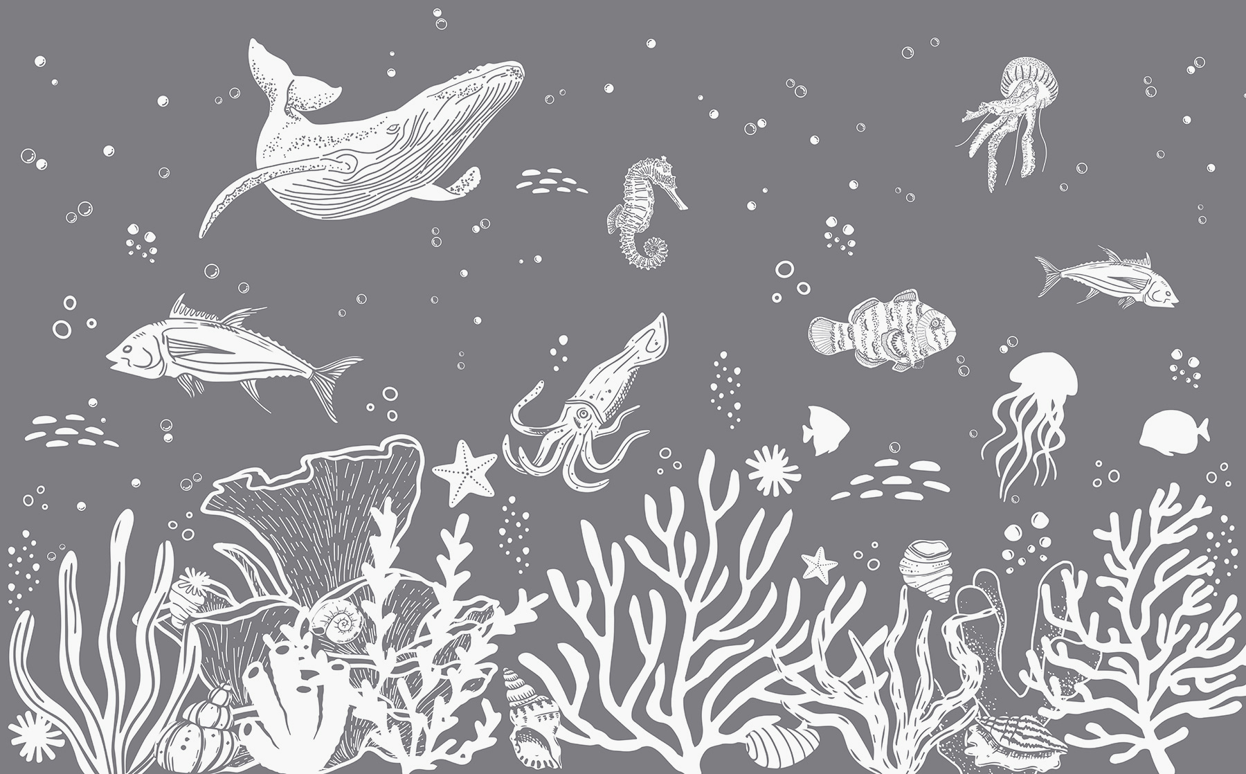 A white sea creatures on a gray background