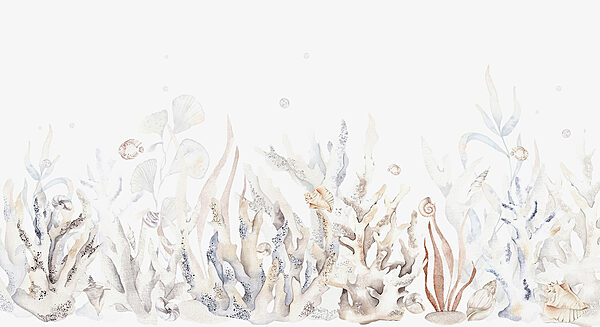 Een aquarel van zeewier en schelpen Een aquarel van zeewier en schelpen