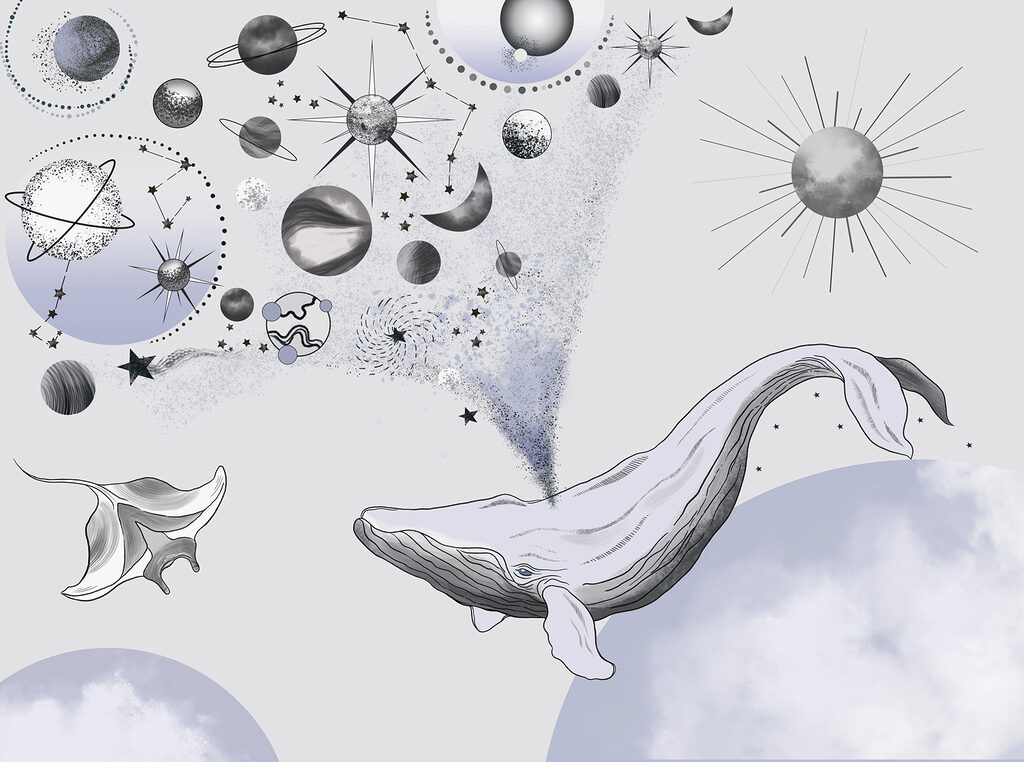 Een walvis en planeten Een walvis en planeten