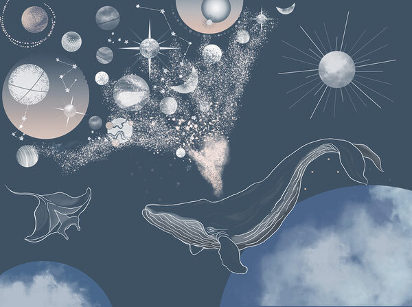 Een walvis en planeten in de lucht Een walvis en planeten in de lucht