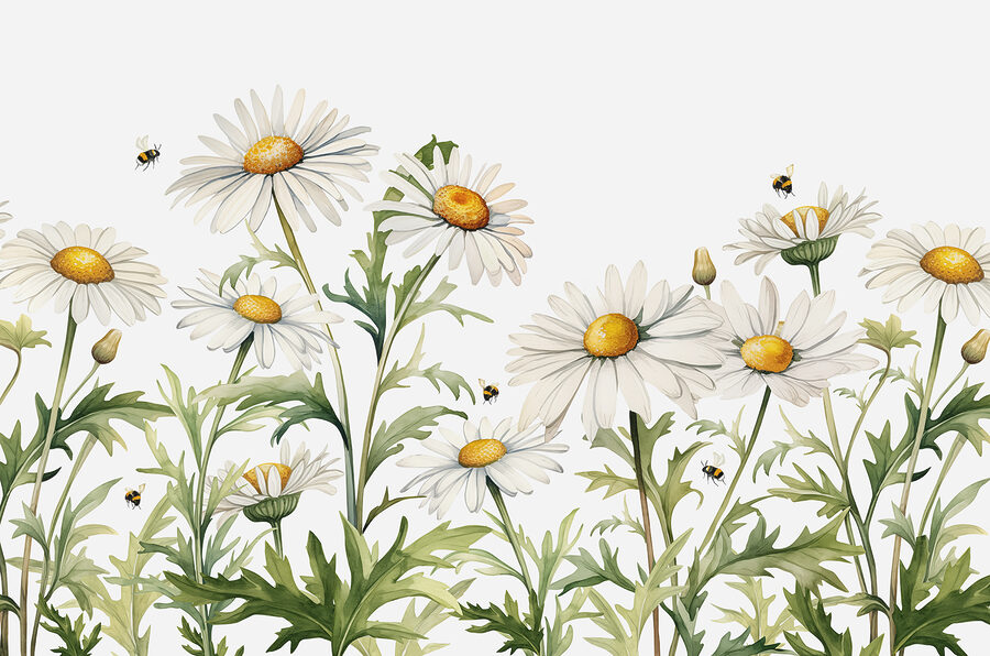 Een groep witte bloemen met een geel hart en groene bladeren