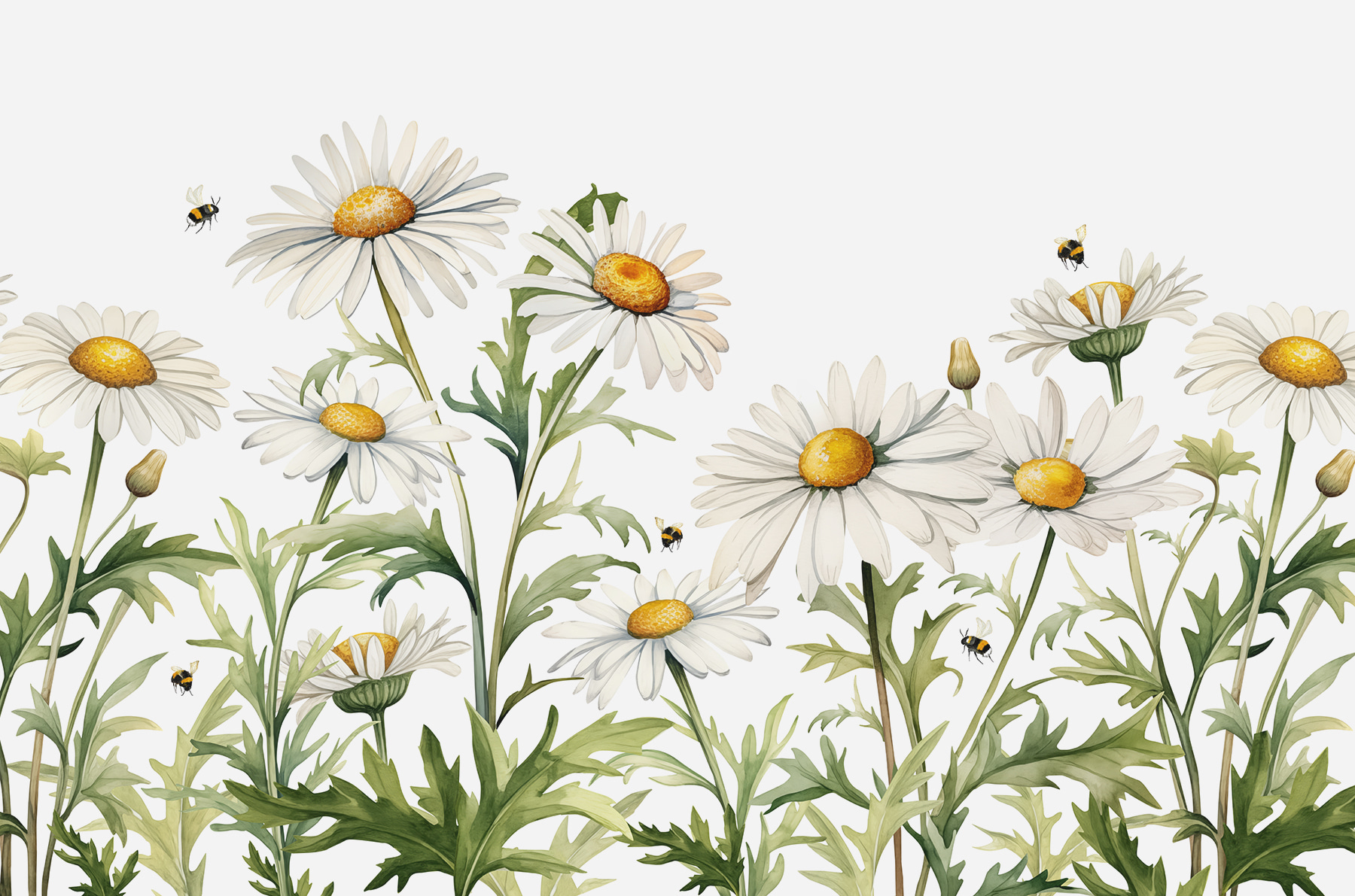 A group of white flowers with yellow centers and green leaves A group of white flowers with yellow centers and green leaves