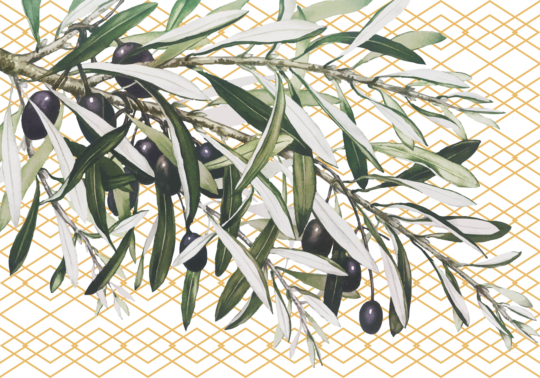 A branch with black olives and leaves