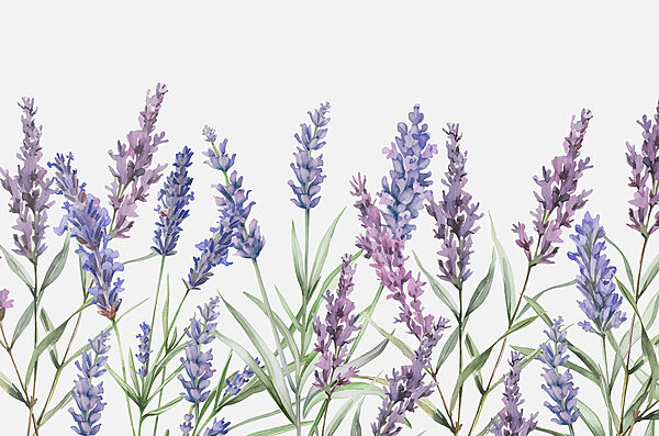Een rij paarse bloemen Een rij paarse bloemen