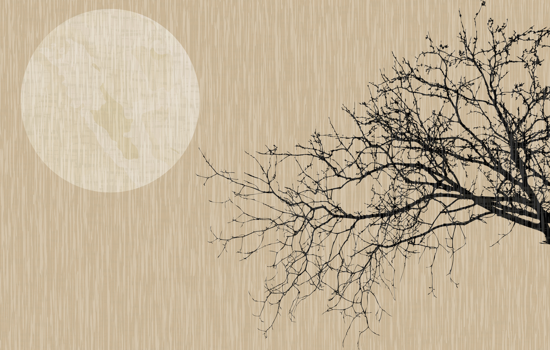 A tree with no leaves