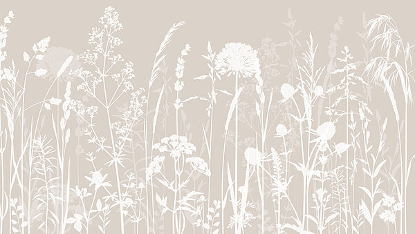 Een wit silhouet van bloemen Een wit silhouet van bloemen