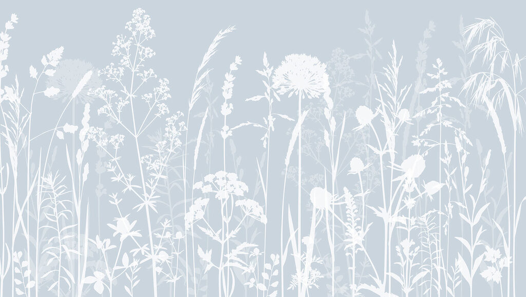 A white silhouettes of flowers