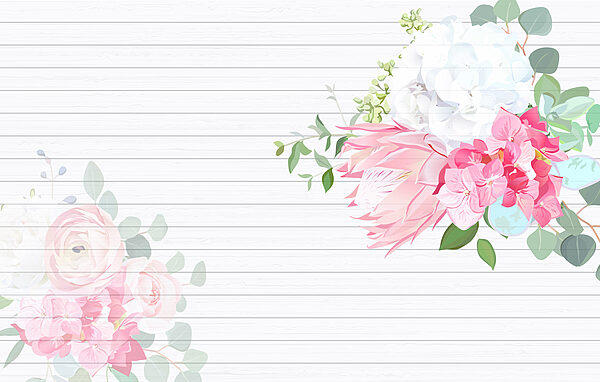 Een witte en roze bloemen op een witte achtergrond Een witte en roze bloemen op een witte achtergrond