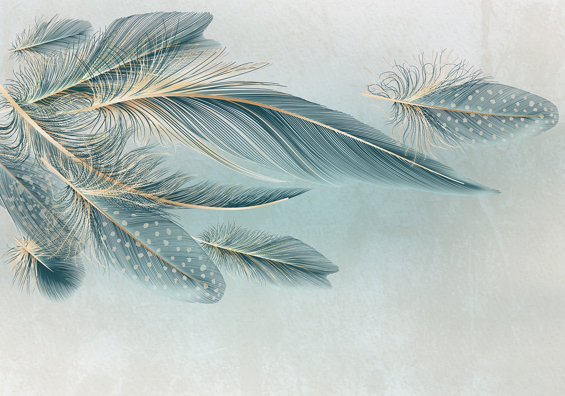 A group of feathers on a white background A group of feathers on a white background