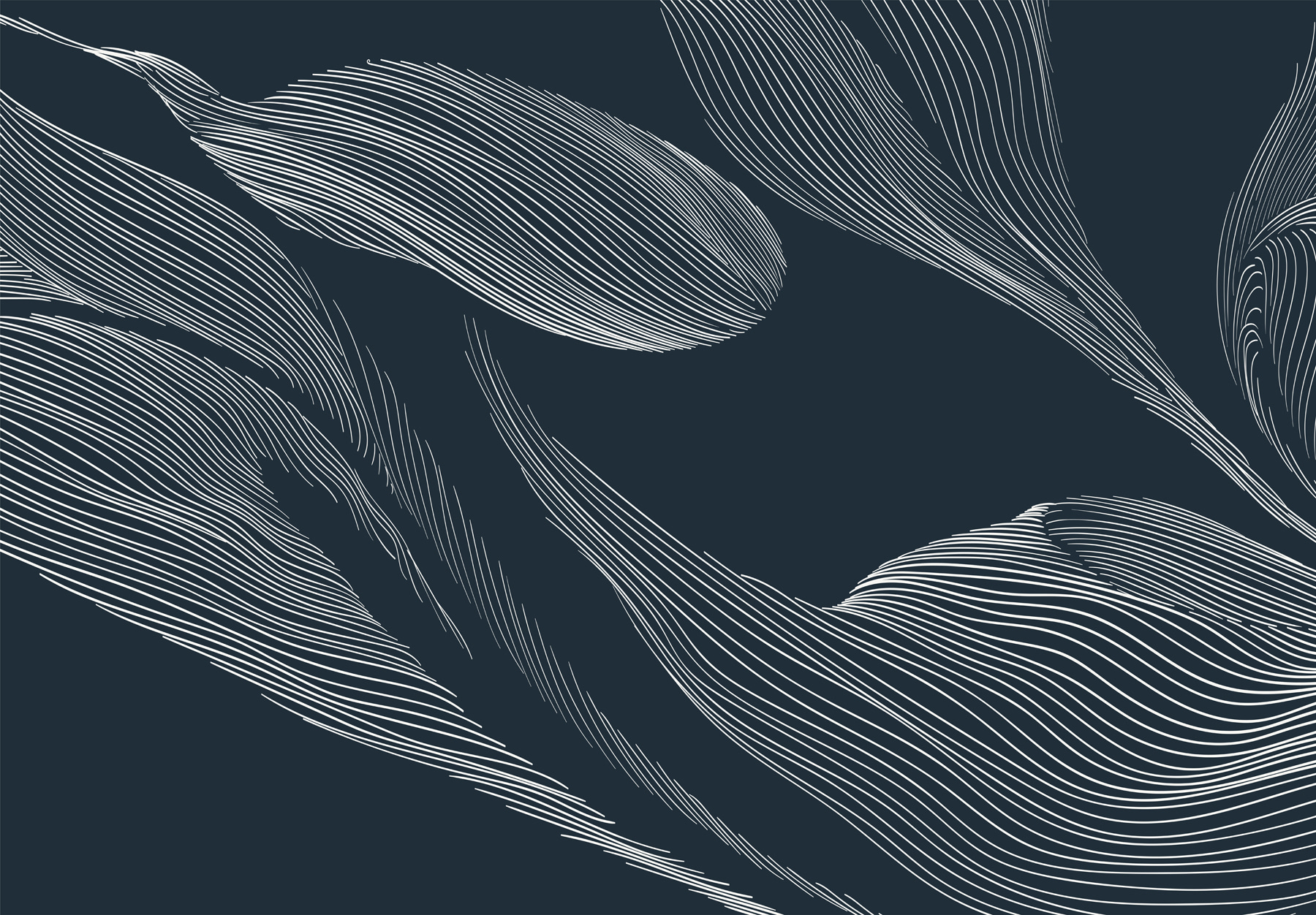 A white lines on a blue background