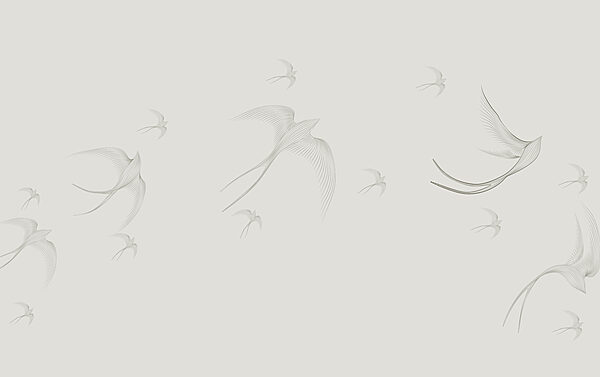 Een groep vliegende vogels Een groep vliegende vogels