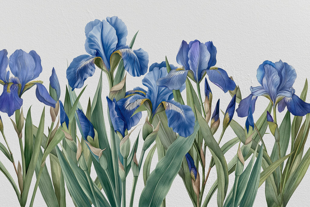 Een groep blauwe bloemen Een groep blauwe bloemen