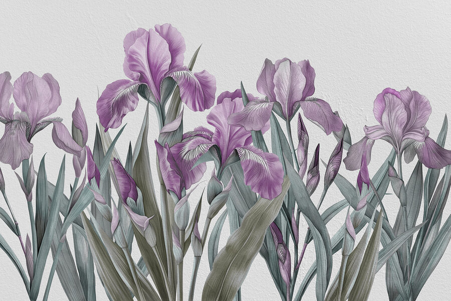 Een groep paarse bloemen