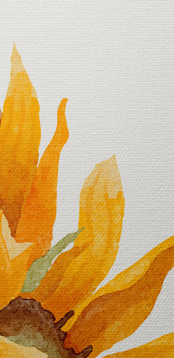 Een close-up van een zonnebloem Een close-up van een zonnebloem