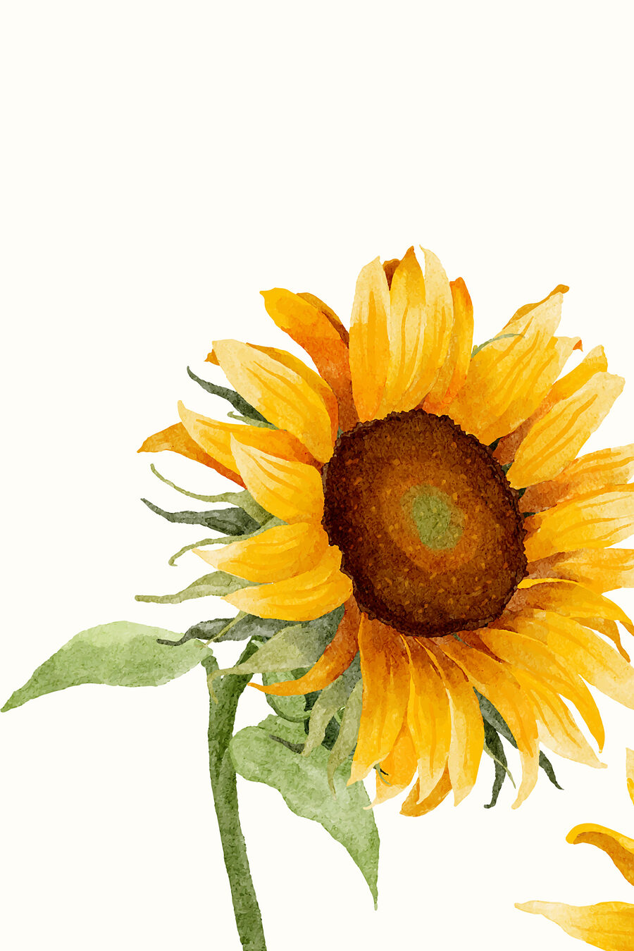 Een close-up van een zonnebloem