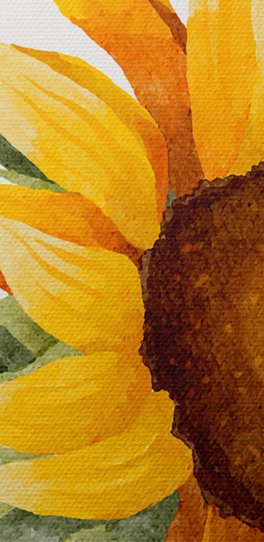 Een close-up van een zonnebloem