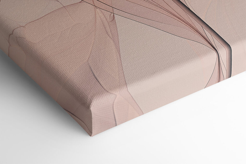 A group of dandelions with white and orange lines A group of dandelions with white and orange lines