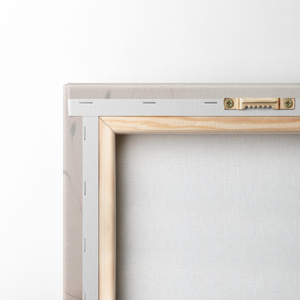 A group of dandelions with white and orange lines A group of dandelions with white and orange lines